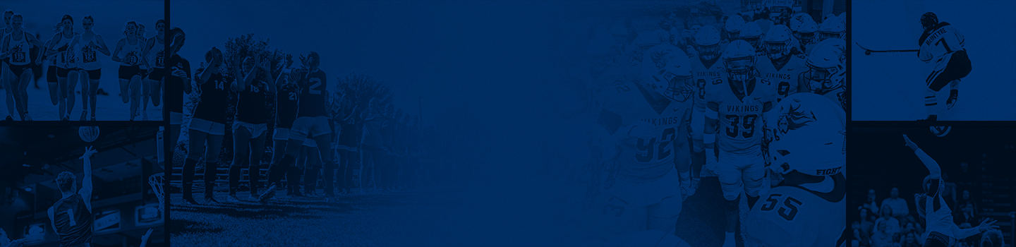 Augustana Vikings marketplace banner