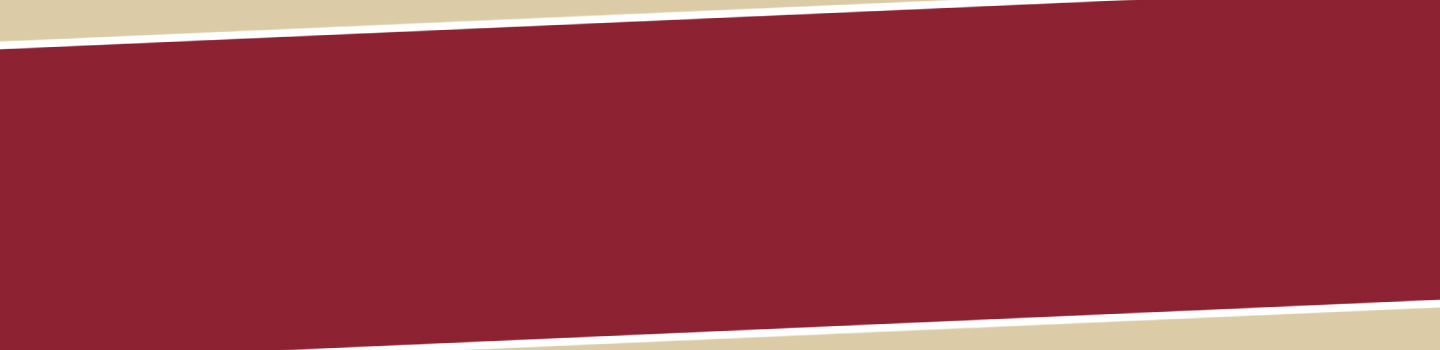 Boston College Eagles marketplace banner