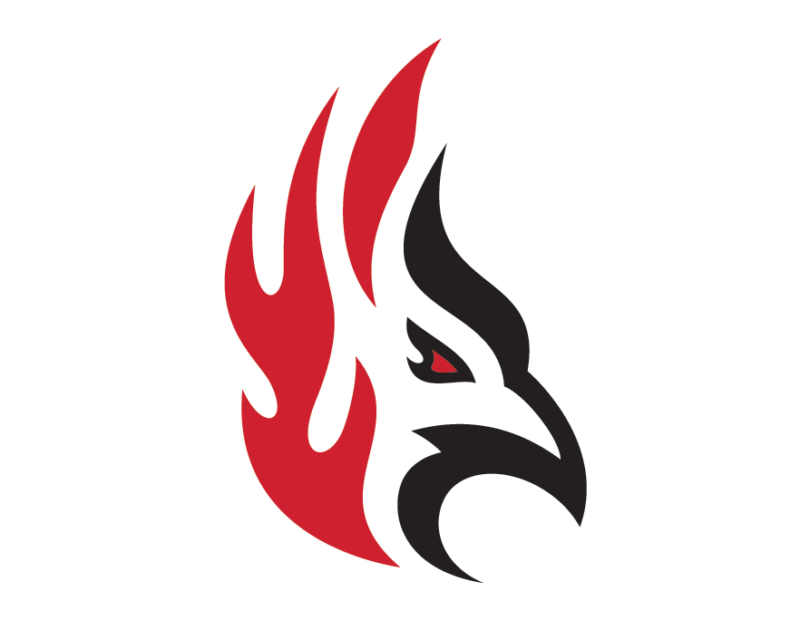Team - Carthage College Firebirds icon