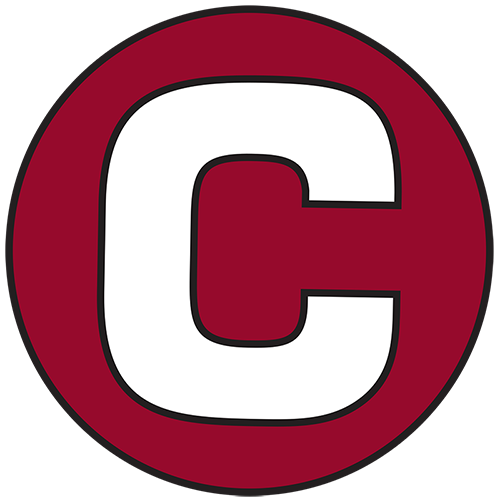 Team - Centenary College Athletics icon