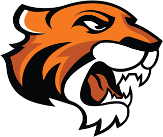Team - Doane University Tigers icon