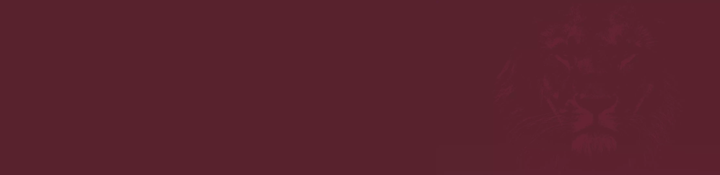 Freed-Hardeman University Lions marketplace banner
