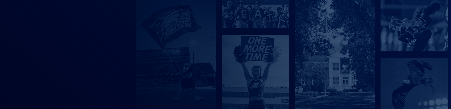 Georgia Southern Eagles marketplace banner