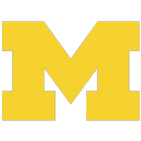 Team - Michigan Wolverines icon