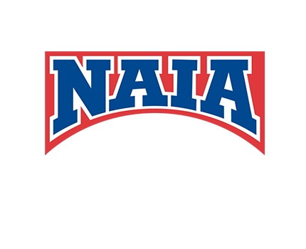 NAIA marketplace banner logo