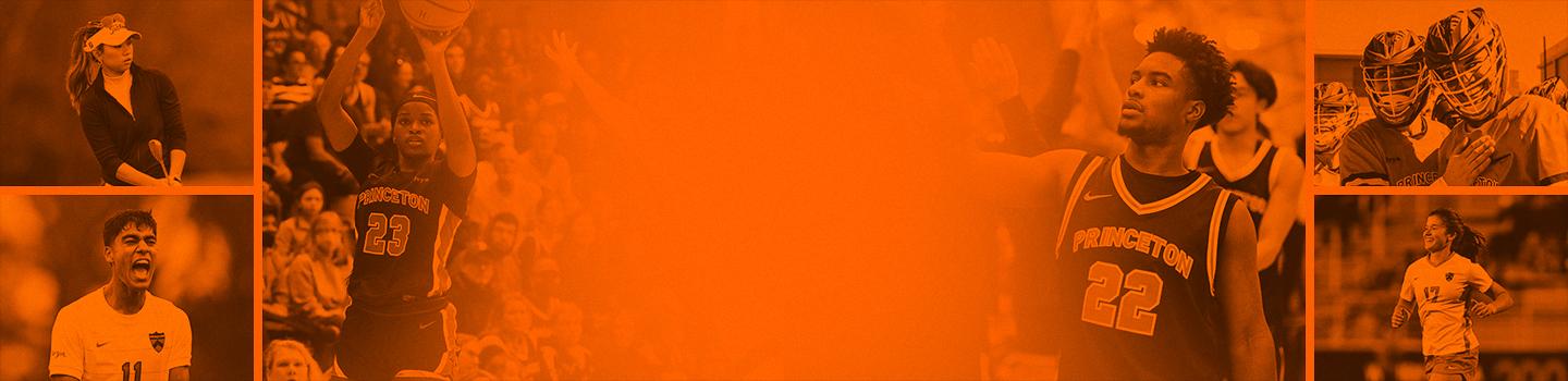 Princeton Tigers  marketplace banner
