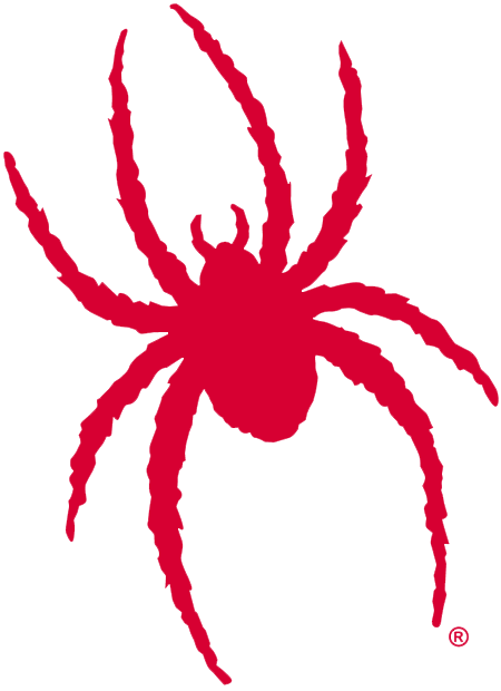 Team - Richmond Spiders icon