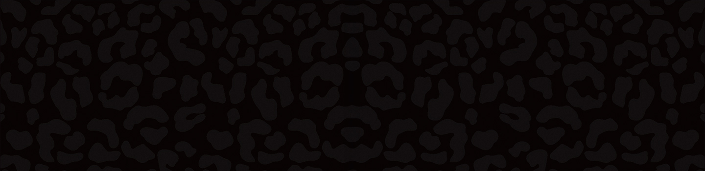 Texas A&M-San Antonio Jaguars  marketplace banner